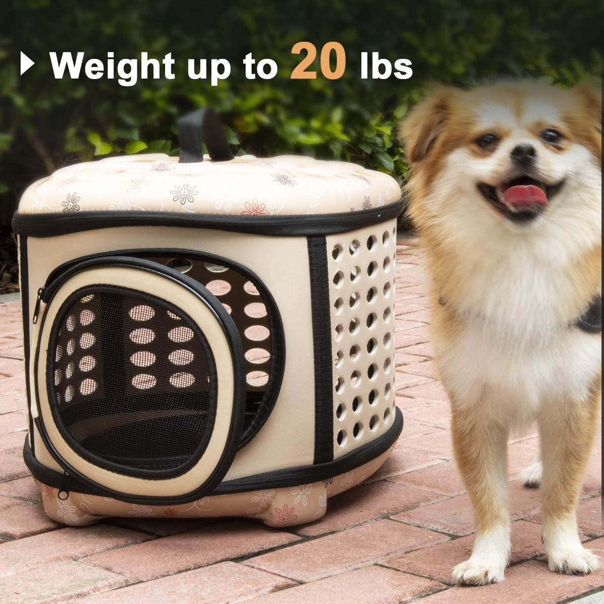 Beige foldable pet carrier with front mesh window and a dog beside it outdoors
