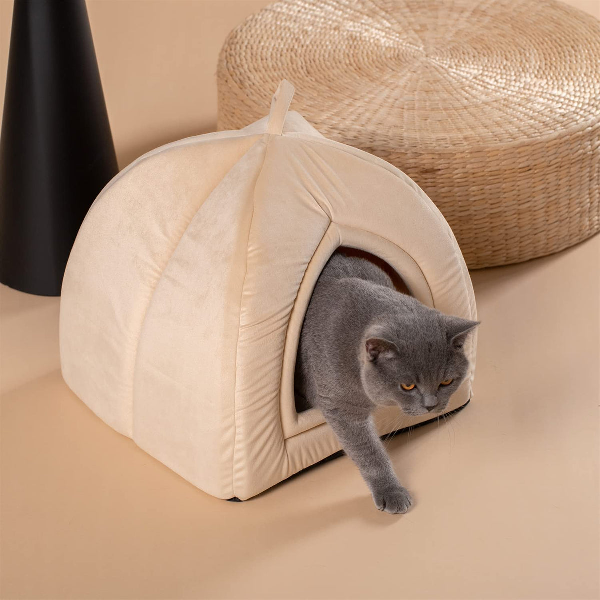 Cream pet tent bed with arched opening, with gray cat resting inside