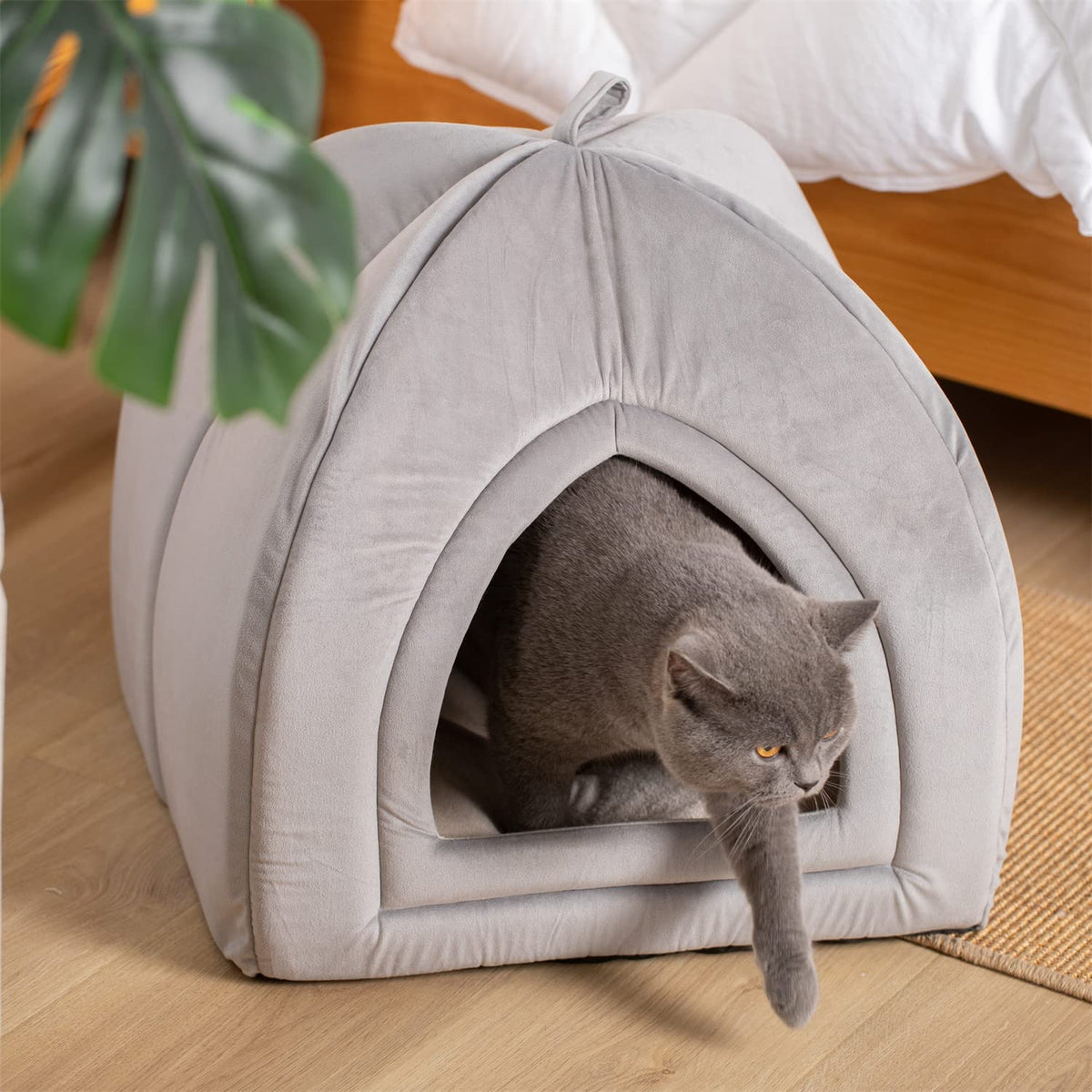 Light grey pet tent bed with arched opening, with gray cat inside