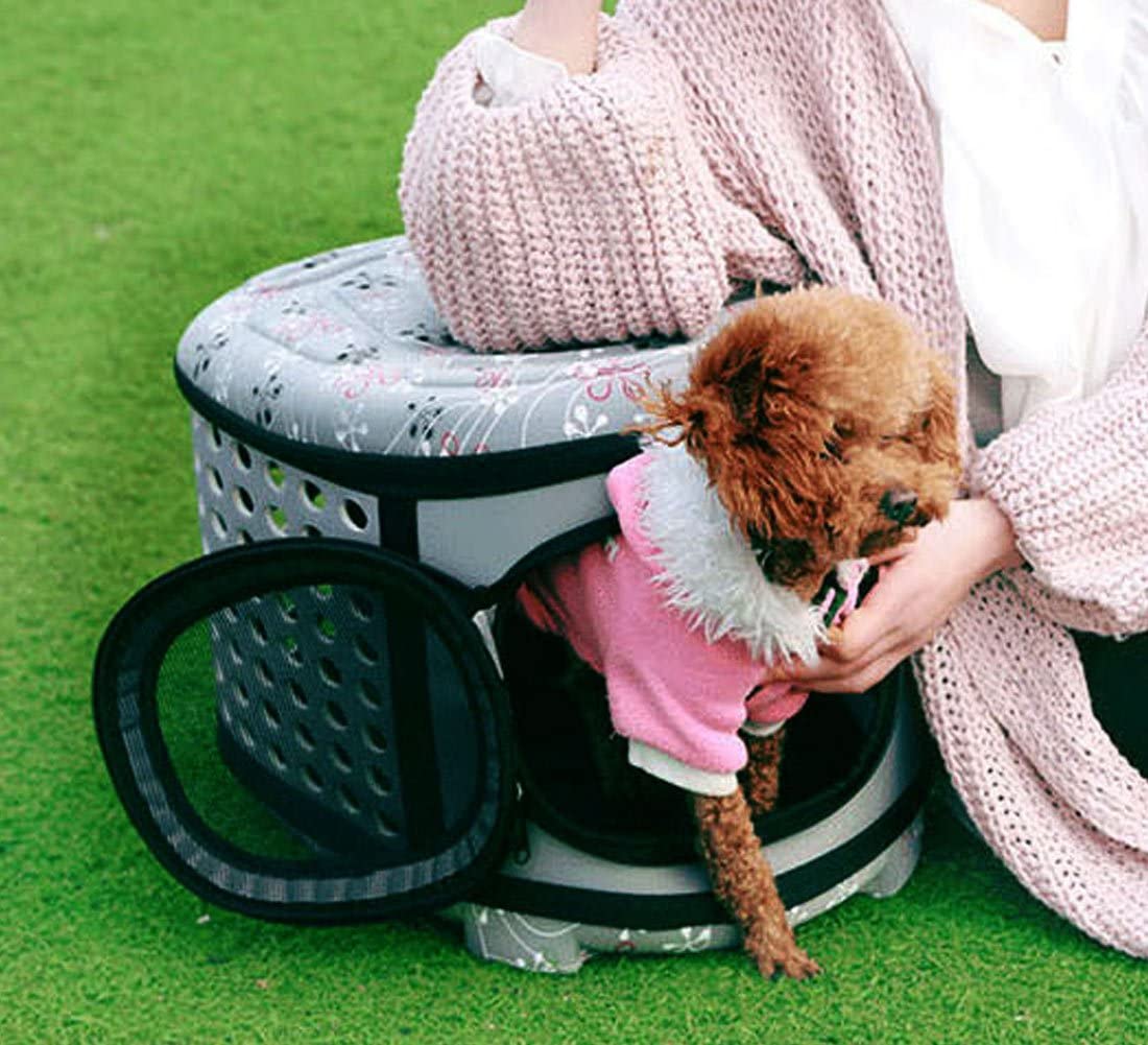 Gray foldable pet carrier with top opening and front mesh door, small brown dog inside