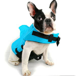 Blue dog swim suit with black chest straps and hood-style flotation panel