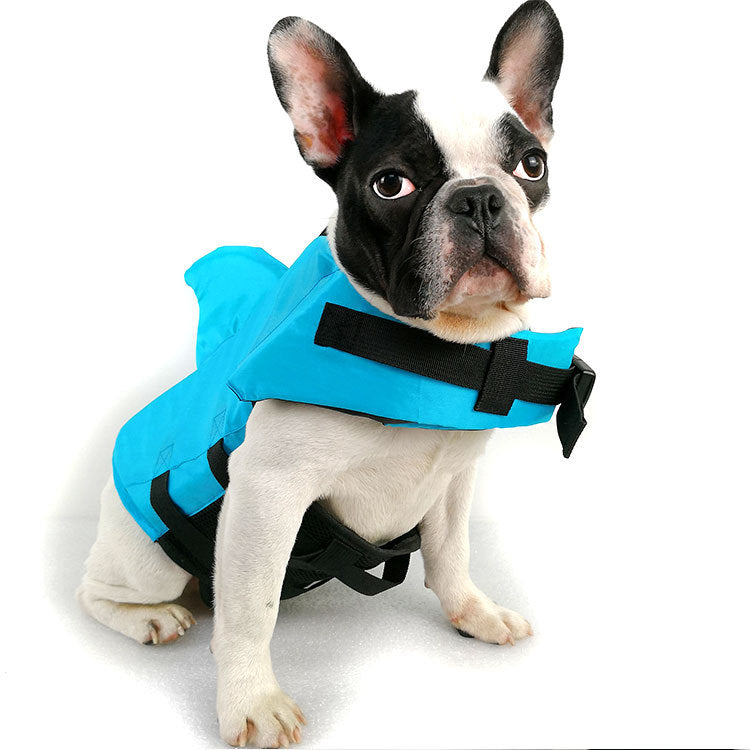 Blue dog pet swimsuit with black straps and flotation-style padding