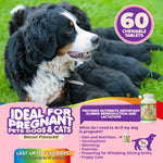 Black and white dog with bacon-flavored vitamin bottle; 60 chewable tablets badge