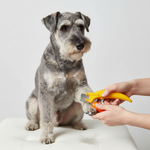 Yellow pet nail clippers with safety guard, being used on a gray dog
