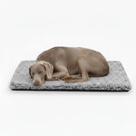 Gray and beige pet mattress with thick cushioned base and raised edges