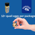 Quail egg food topper bottle and a hand holding a speckled quail egg