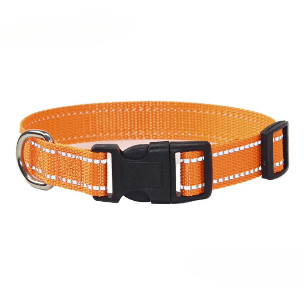 Orange dog collar with black buckle and metal D-ring, striped webbing detail.