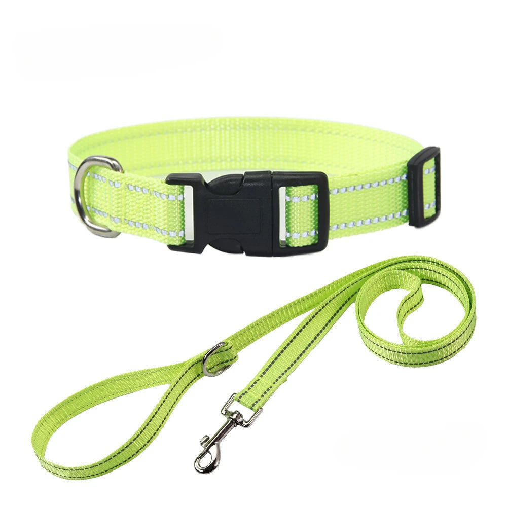 Light green dog collar with matching leash, black buckle, metal D-ring