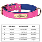 Pink and navy dog collar with engraved ID tag reading COCO