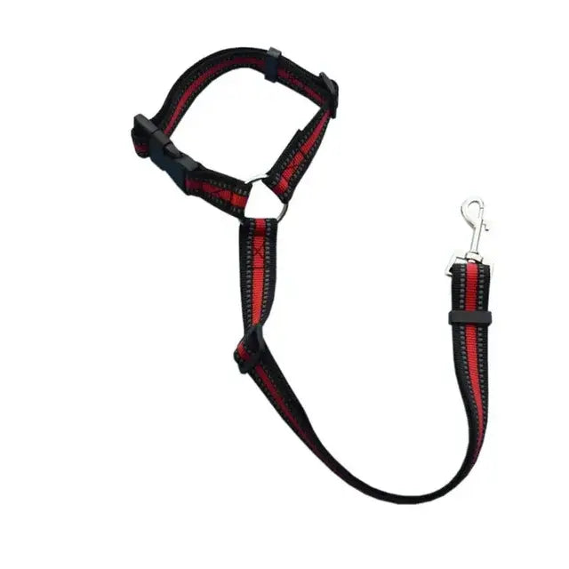 Pet car safety belt & harness, black strap with red stitching and metal carabiner