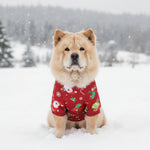 Pet sweater, red knit with small holiday prints, no hood, four-leg design