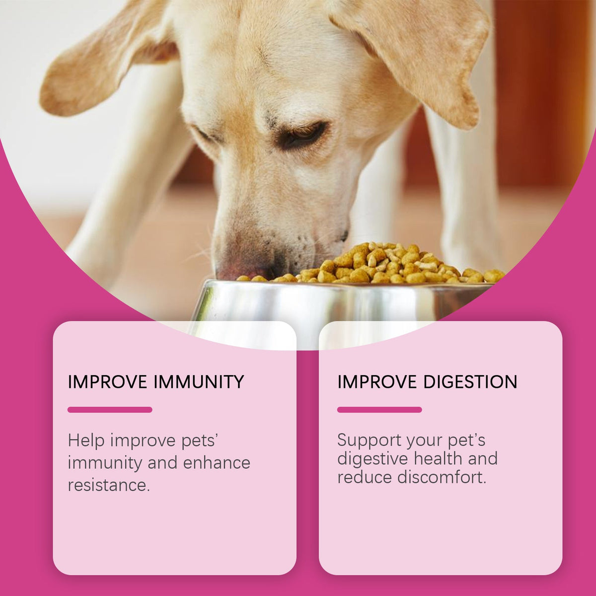 Dog eating from bowl, digestive care tablets benefit panels
