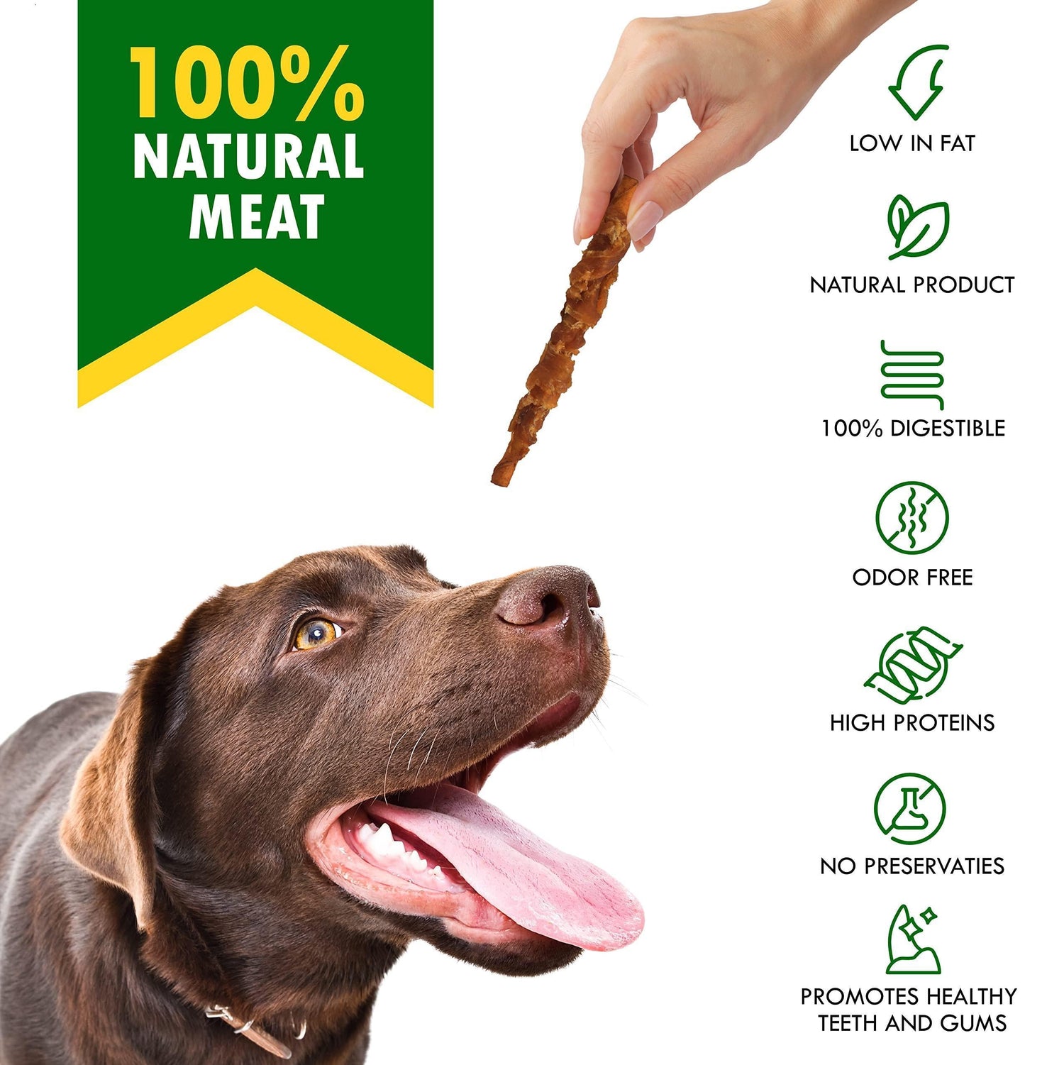 Smoked rawhide dog stick held in hand with low-fat and digestible icons