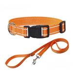 Orange woven dog collar with matching leash, black buckle, metal D-ring