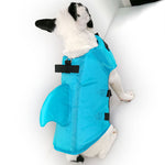 Blue dog pet swimsuit back view with black straps and padded flotation body