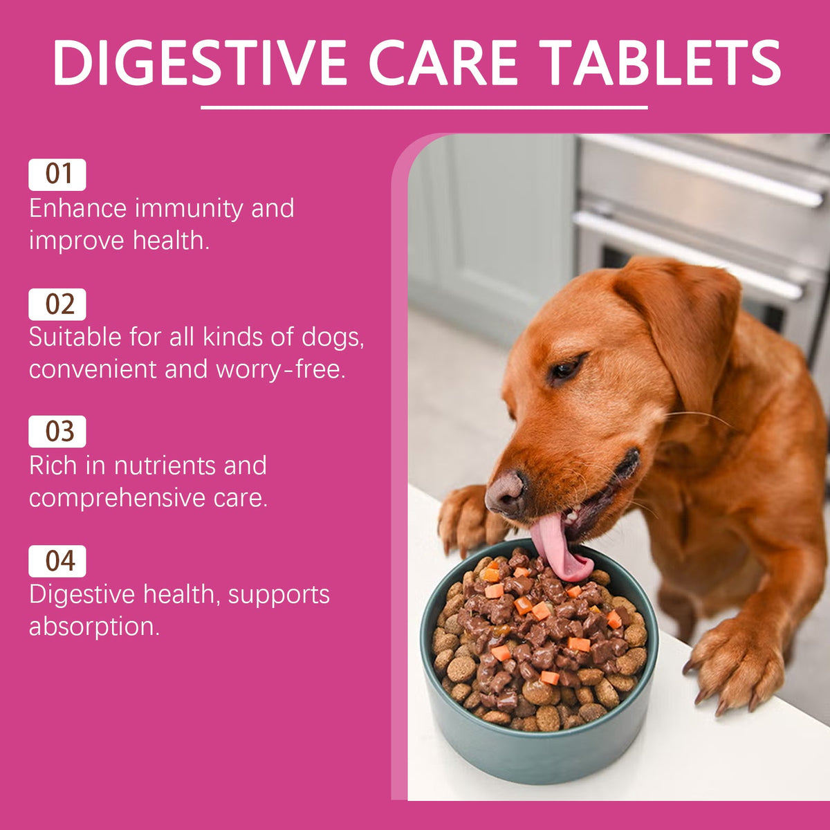 Dog digestive care tablets display with dog and bowl of kibble