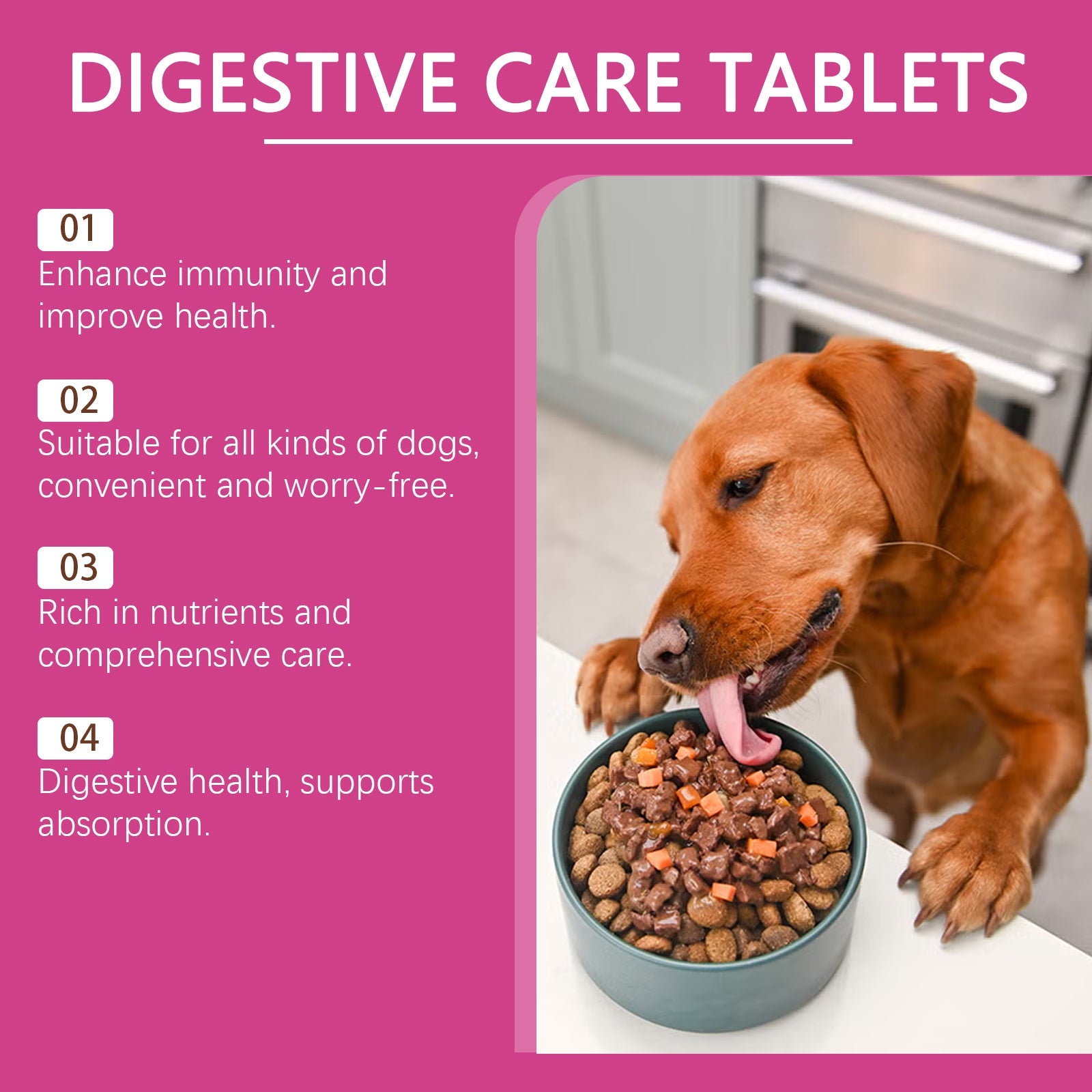 Dog digestive care tablets display with dog and bowl of kibble