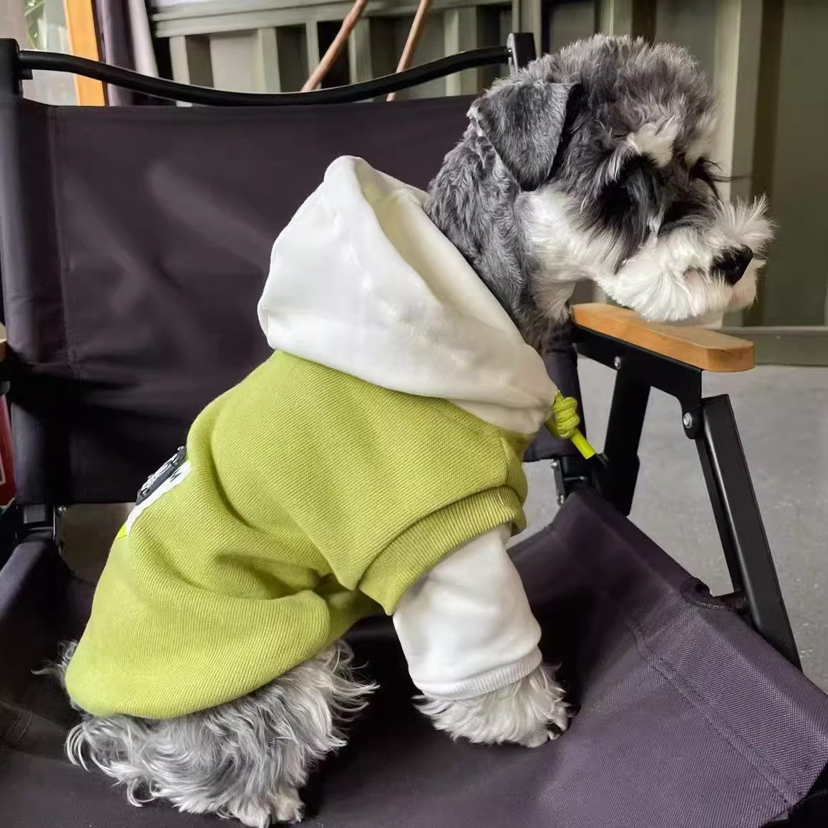 Fleecegefütterter Hundehoodie: grün, weißes Kapuzenteil, schräg seitlich