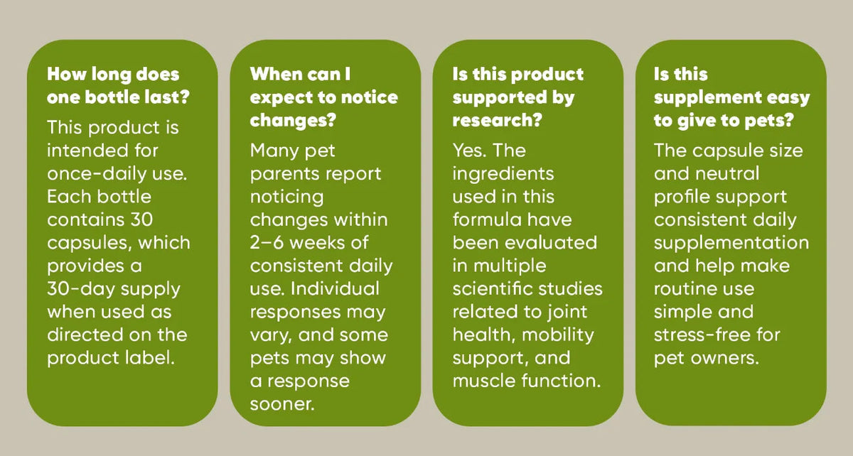 Supplement information panel with serving and ingredient answers