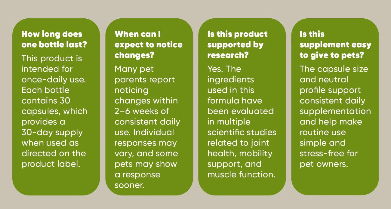 Supplement information panel with serving and ingredient answers