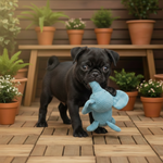 Blue plush elephant squeaky dog toy with stuffed legs