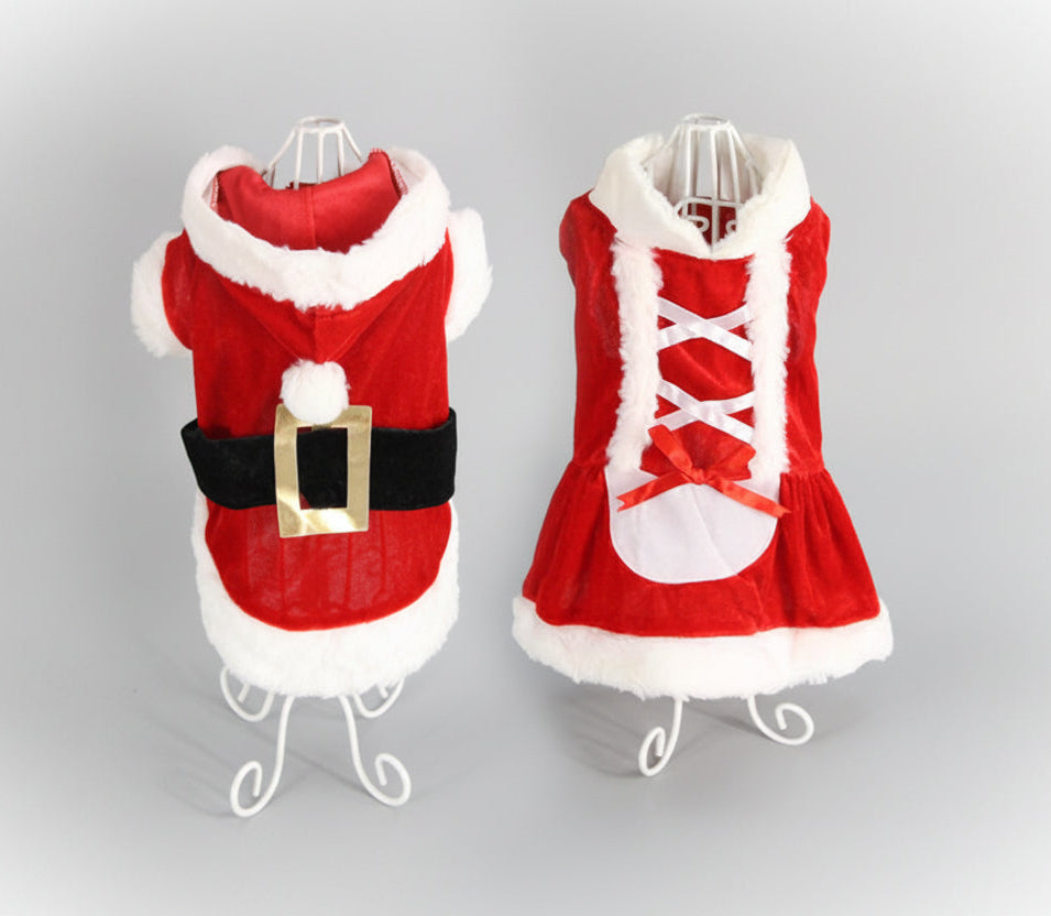 Christmas dog sweater, red knit with white fur trim, black belt and gold buckle