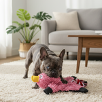 Rosa Mop-Plüsch-Ente-Spielzeug mit gelbem Schnabel und schwarzen Beinen, Hund liegt darauf
