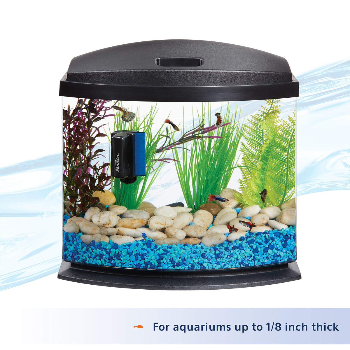 Magnetic aquarium cleaning tool attached to tank glass with scrubber on side