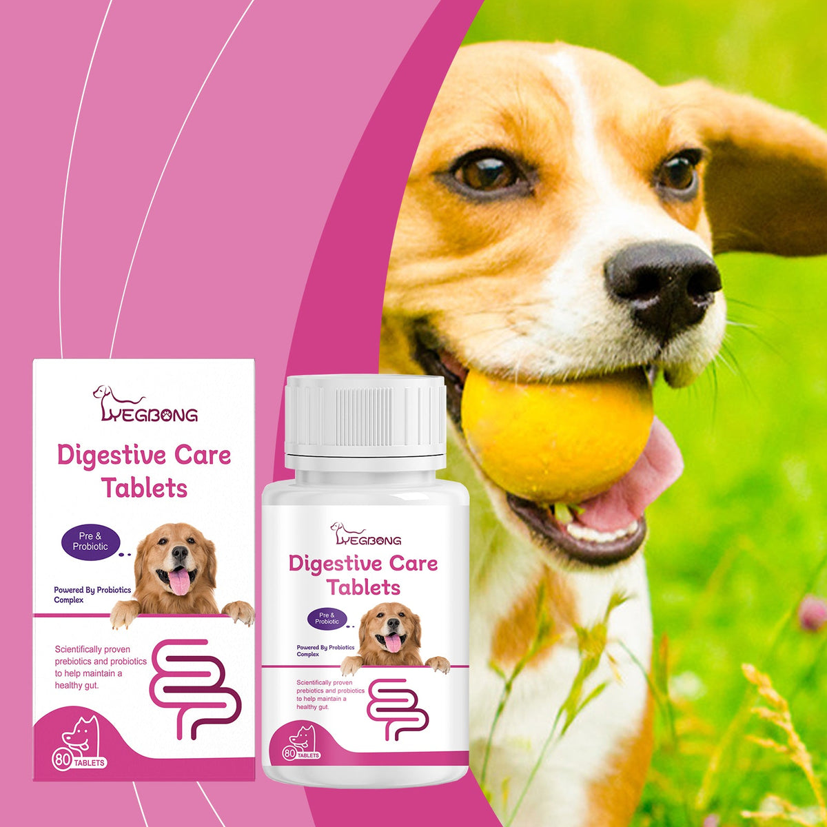 Dog with digestive care tablets bottle and box, probiotic supplement