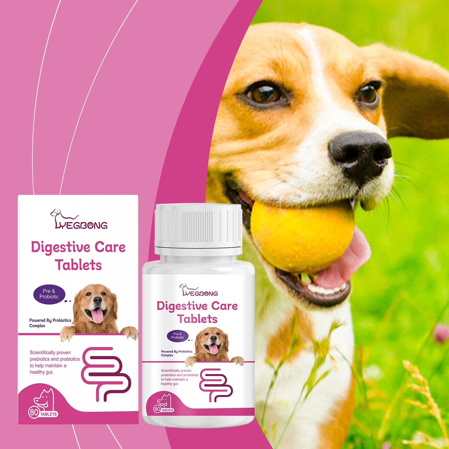 Dog with digestive care tablets bottle and box, probiotic supplement