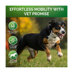 Pet hip and joint support soft chews graphic featuring a running dog