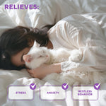 Sleeping white cat on bed with stress, anxiety, and restless behavior relief icons