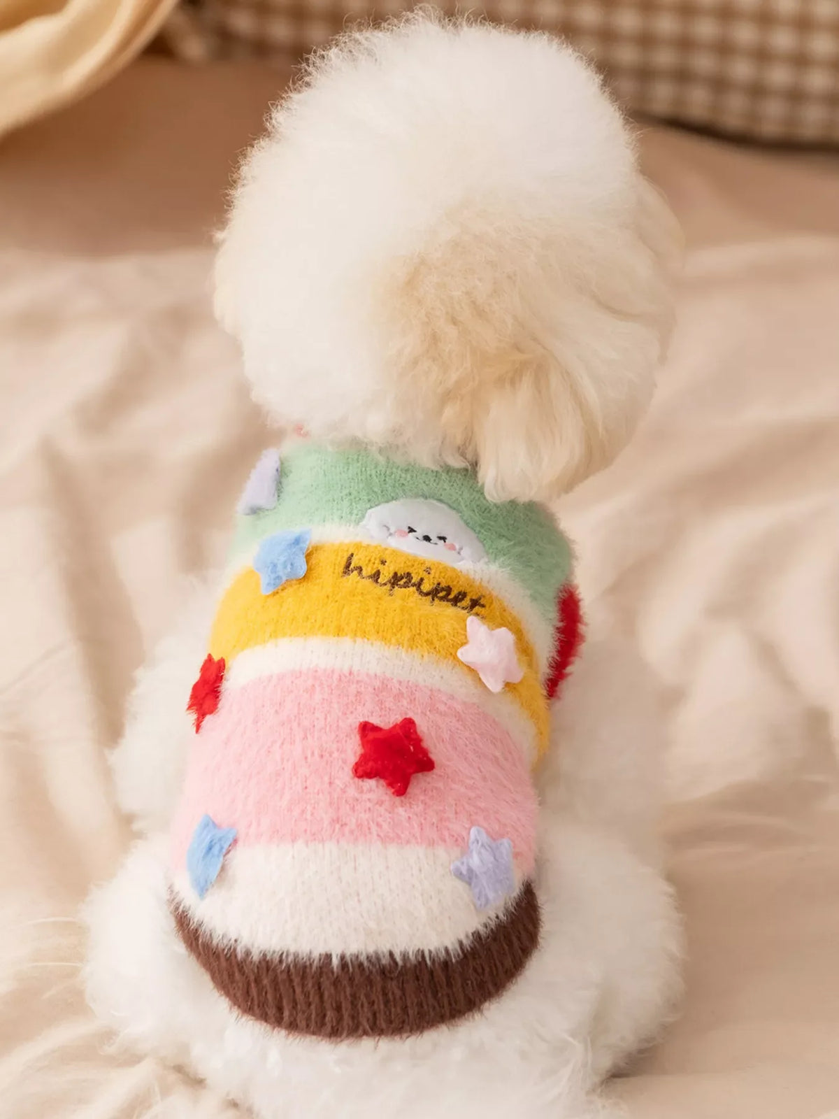 Rainbow knitted pet sweater with brown hem and small star details