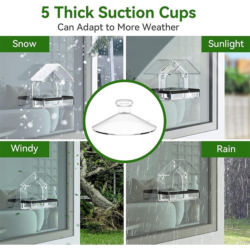 Clear acrylic bird feeder showing five suction cups and black tray for windows