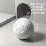 Grey bite-resistant smart bouncing ball with glowing paw icon