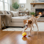 Dog training ball toy with yellow textured shell on living room floor