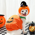 Halloween pumpkin pet costume with black witch hat, orange plush vest, green neck ruffle