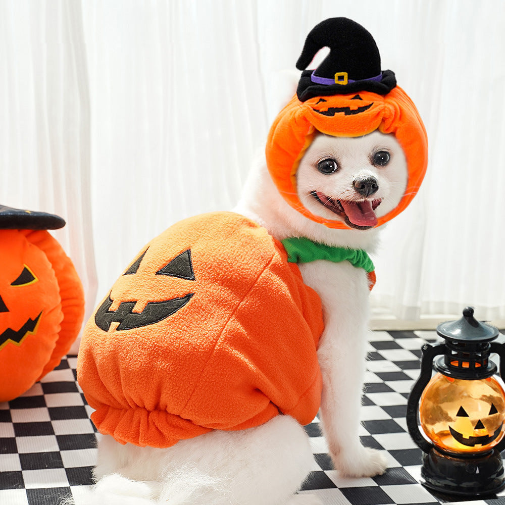 Halloween pumpkin pet costume with black witch hat, orange plush vest, green neck ruffle