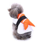 White-and-orange bird dog costume with black wings and orange trim