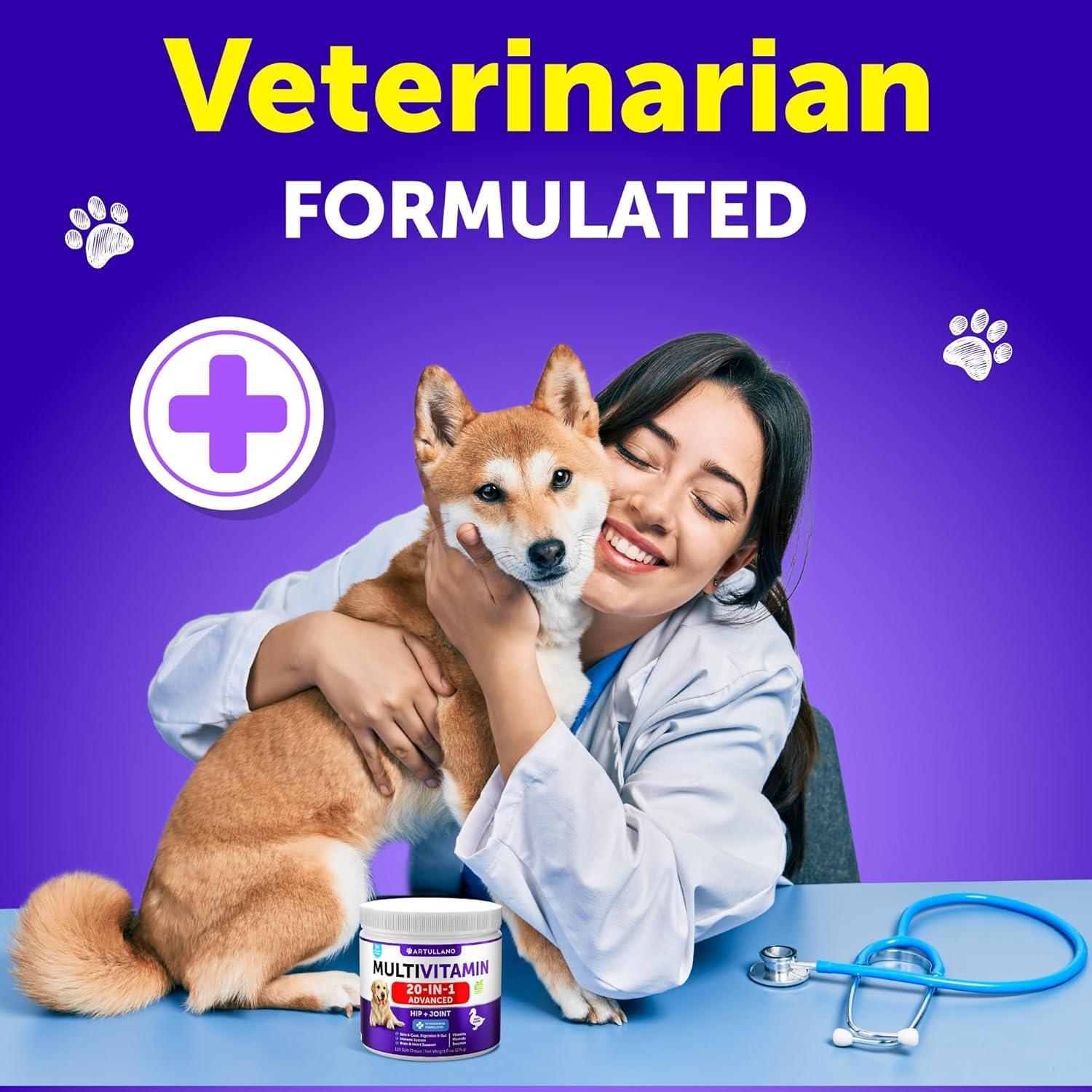Dog multivitamin soft chews with a veterinarian holding a dog and the jar