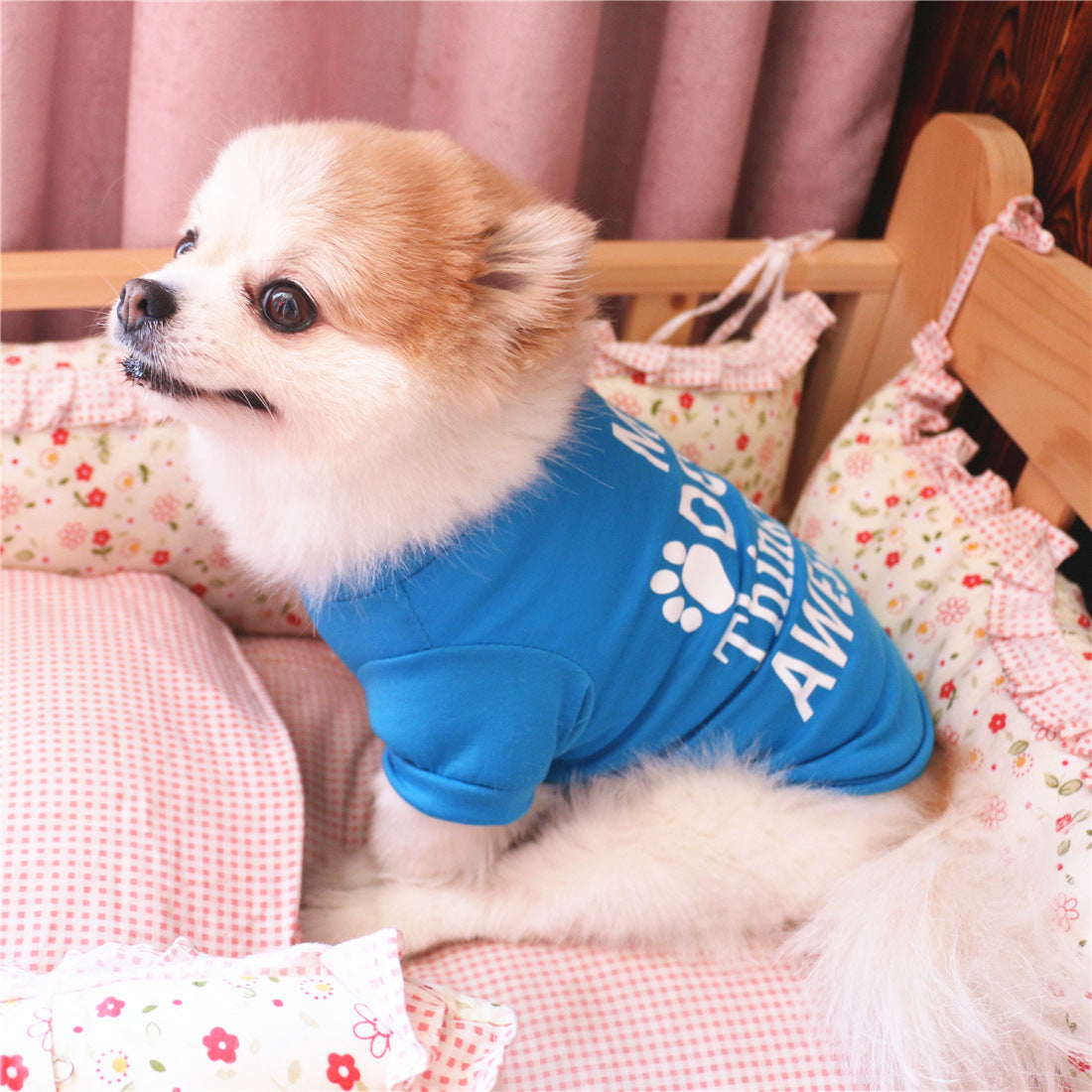 Blue cotton dog summer vest on small dog, with paw logo and “My dog Thinks I’m Awesome”