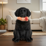 Strawberry latex squeaky dog toy, orange bottle with white cap and strawberry design in view