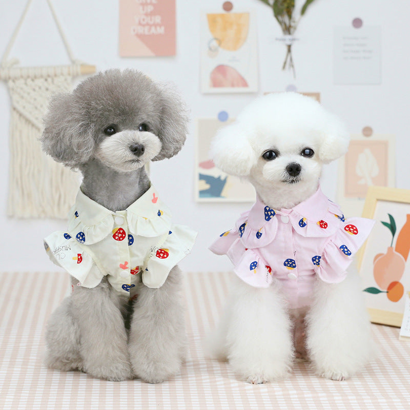 White pet shirt with ruffle collar and red/blue mushroom print, short sleeves