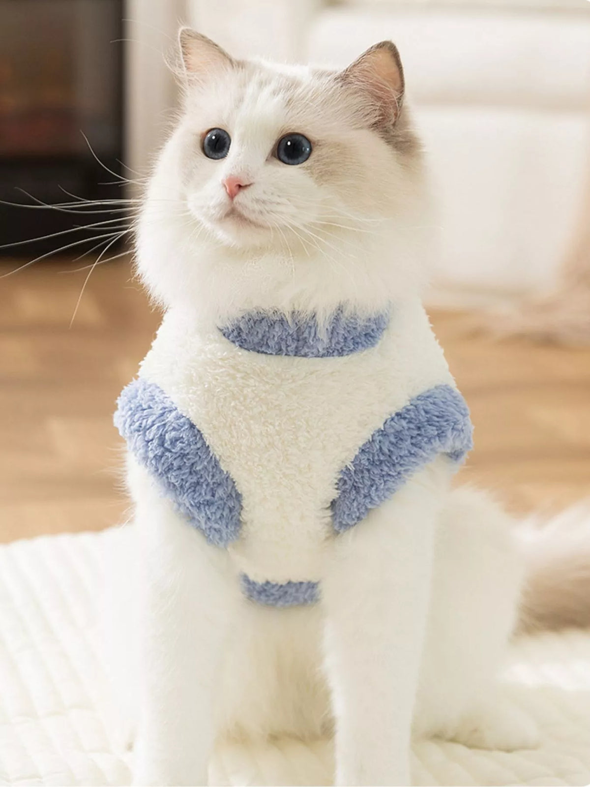 White plush pet sweater with light-blue collar and matching blue patch details