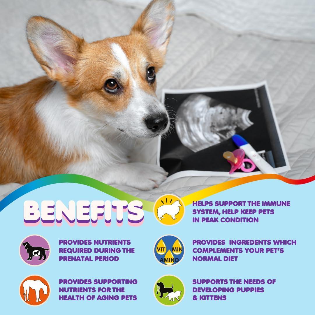 Brown and white dog beside prenatal vitamin bottle; benefits label visible