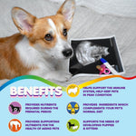Brown and white dog beside prenatal vitamin bottle; benefits label visible