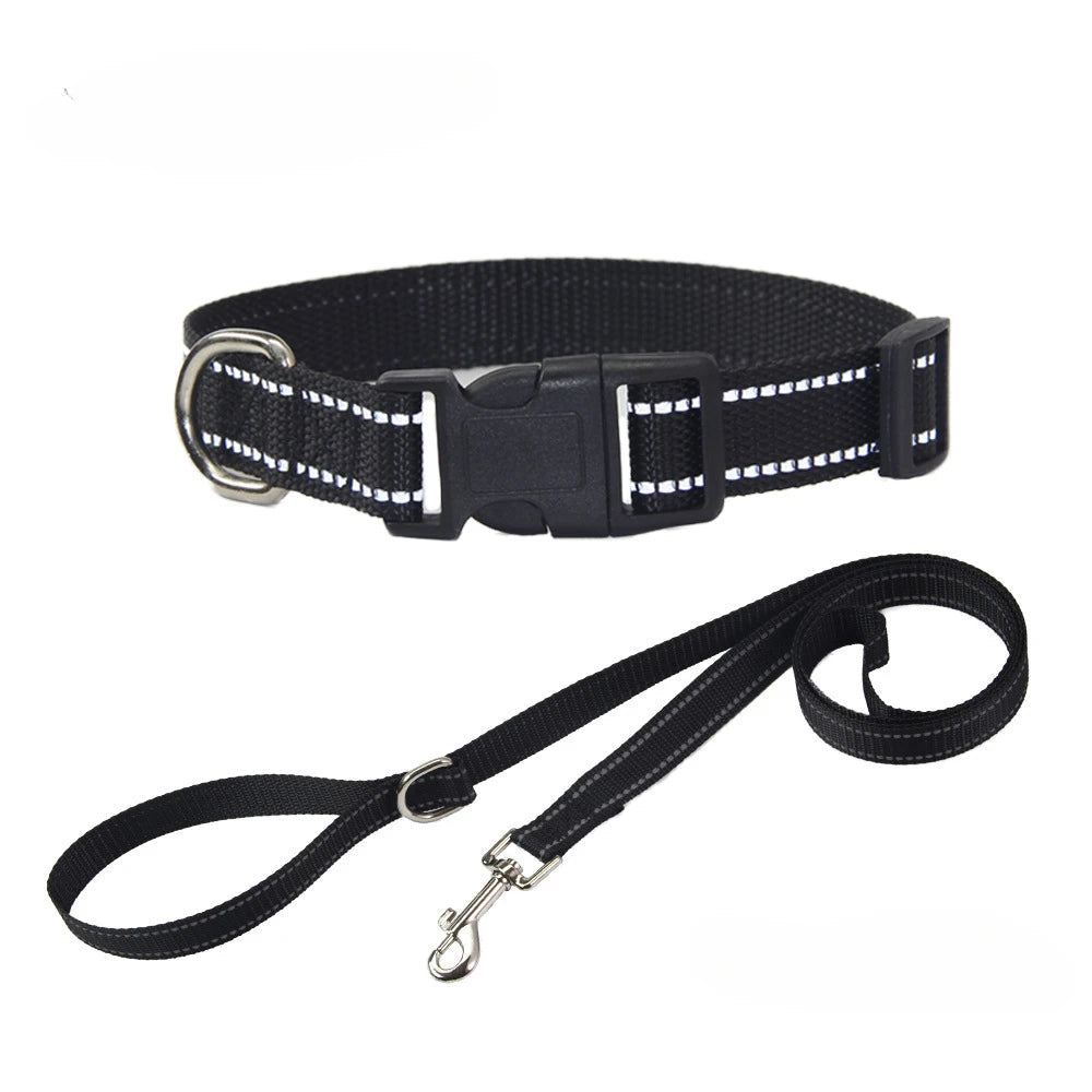 Black dog collar and leash set with striped webbing, metal D-ring and buckle clasp.