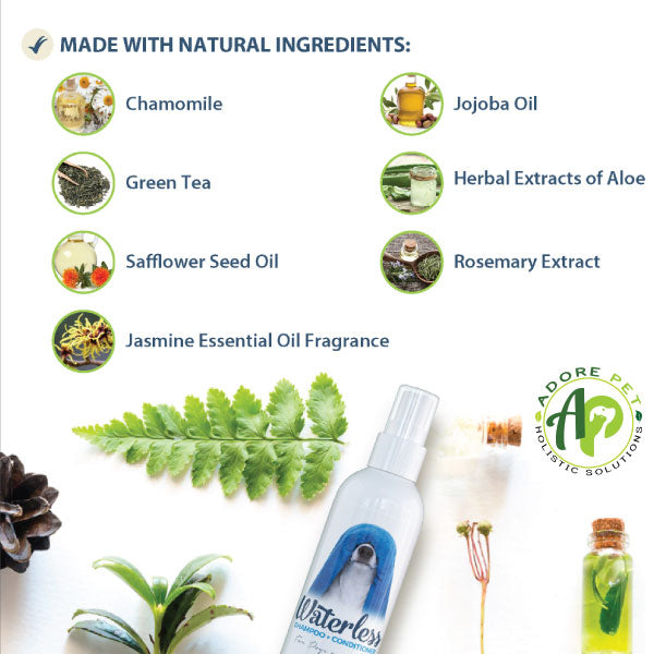 Waterless shampoo and conditioner bottle with natural ingredients around it