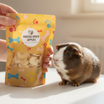 Freeze-dried apple pet treats pouch held beside a guinea pig, with apple slices