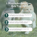 Cat with joint-support infographic showing three benefit callouts